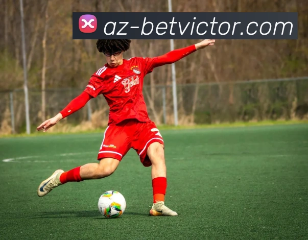 betvictor伟德官网APP 封面图